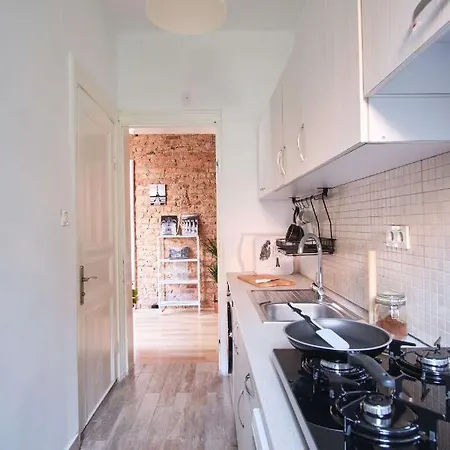 公寓 Taksim Square, Galata Tower Historical Flat *